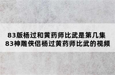 83版杨过和黄药师比武是第几集 83神雕侠侣杨过黄药师比武的视频